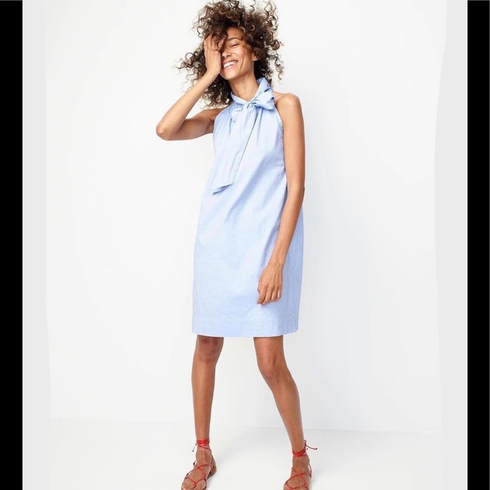 J Crew Oxford Cotton Tie-neck dress
